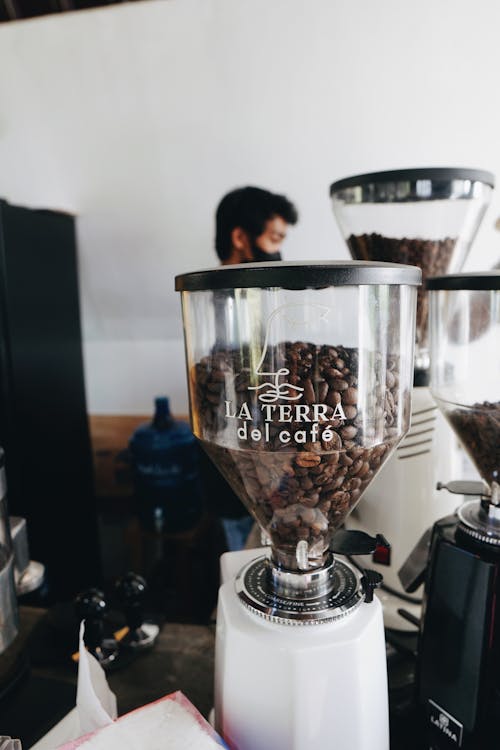 
Coffee Beans in a Coffee Grinder