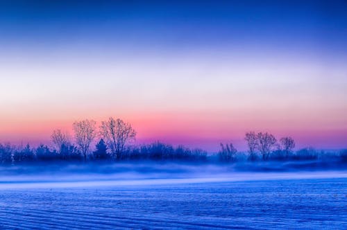 Kostenloses Stock Foto zu feld, nebel, sonnenaufgang