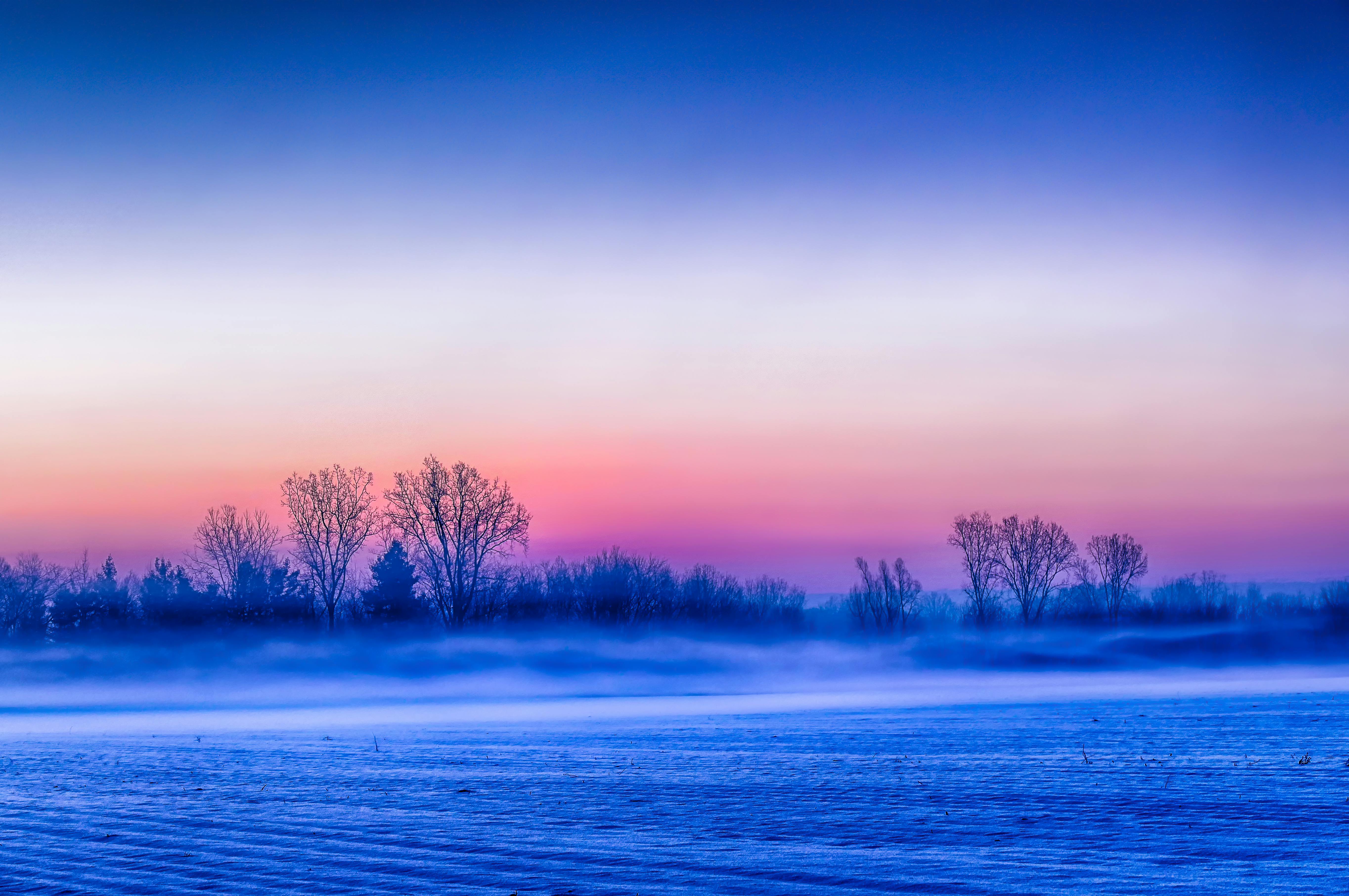 Free stock photo of field, fog, sunrise