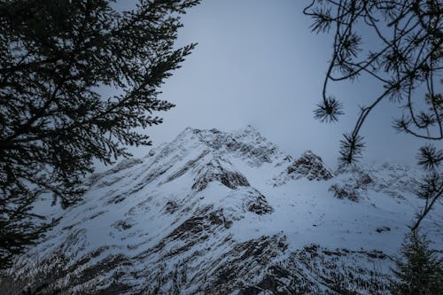 Základová fotografie zdarma na téma hora, příroda, prostředí