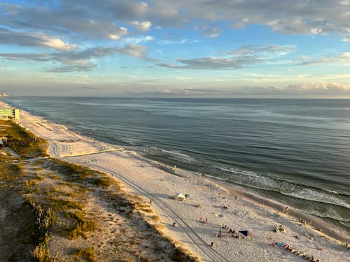 Aerial Photograph of People on Beach