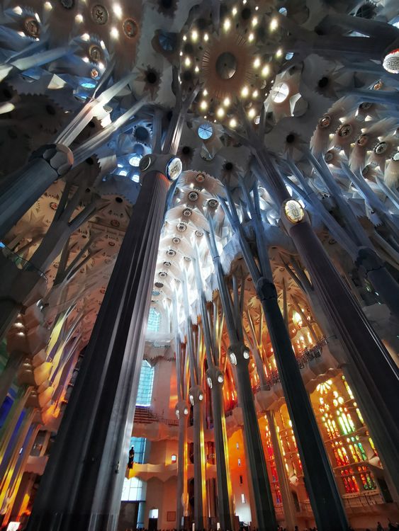 The Interior of the La Sagrada Familia · Free Stock Photo