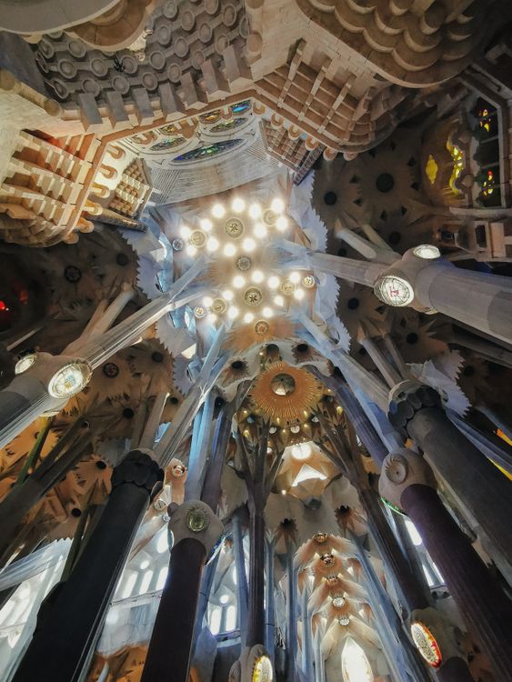 Ceiling in the Sagrada Família in Barcelona, Spain · Free Stock Photo