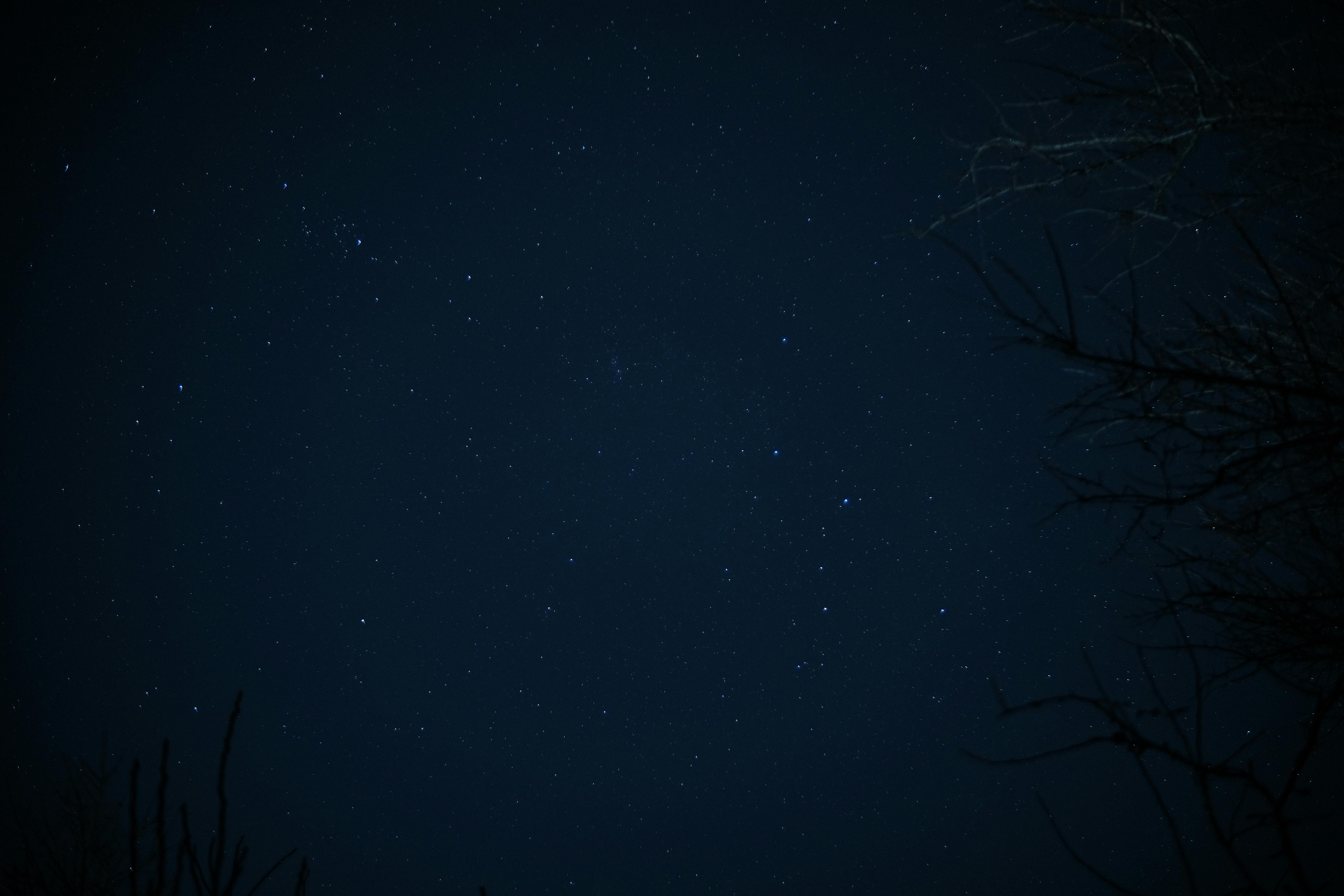 What Is a Natal Chart? A Beginner's Guide