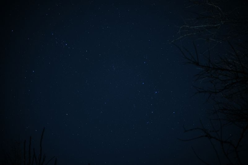 満天の星空が広がる美しい夜。西洋占星術プレミアム鑑定のイメージ