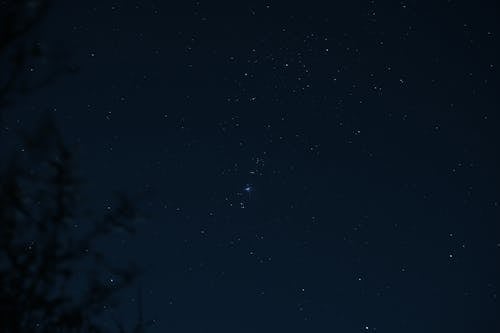무료 밤, 별, 자연의 무료 스톡 사진