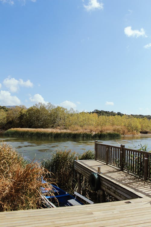 A Wooden Dock by a River