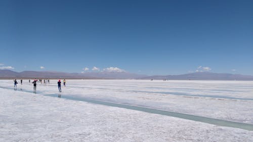 Free People Standing on a Salt Flat Under the Blue Sky Stock Photo
