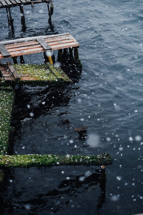 bezplatná Základová fotografie zdarma na téma dřevěný, jezero, řeka Základová fotografie