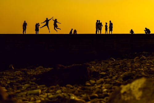 Free Silhouette of People Walking on Gray Sand during Sunset Stock Photo