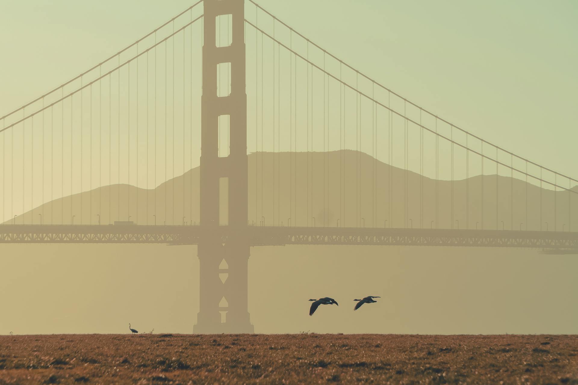 Silhouette Flying Near the Golden Gate Bridge