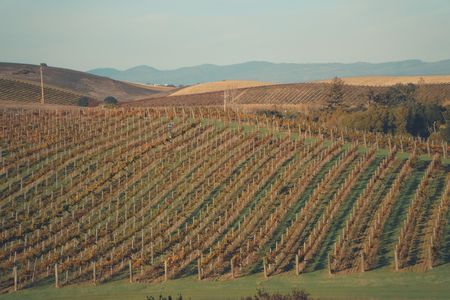 Moderniza tu negocio rural con ayudas a fondo perdido