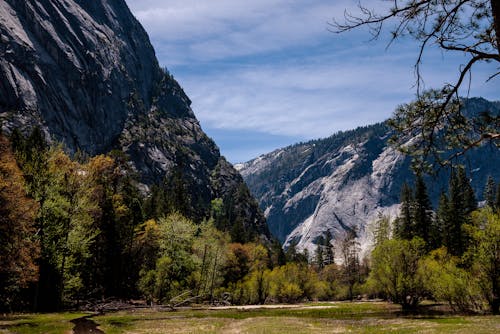 Free Yosemite Valley  Stock Photo