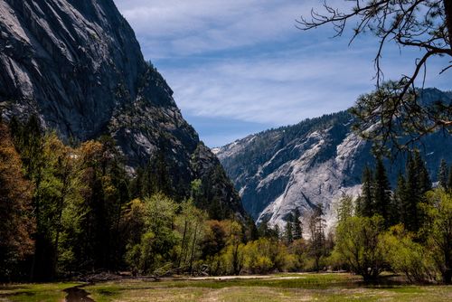 Free Breathtaking landscape of Yosemite Valley with lush trees and rocky mountains under a clear blue sky. Stock Photo