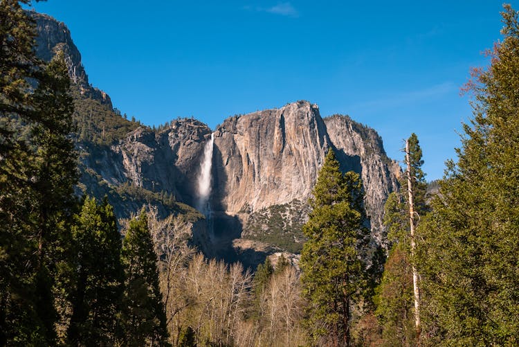 Yosemite Waterfall 