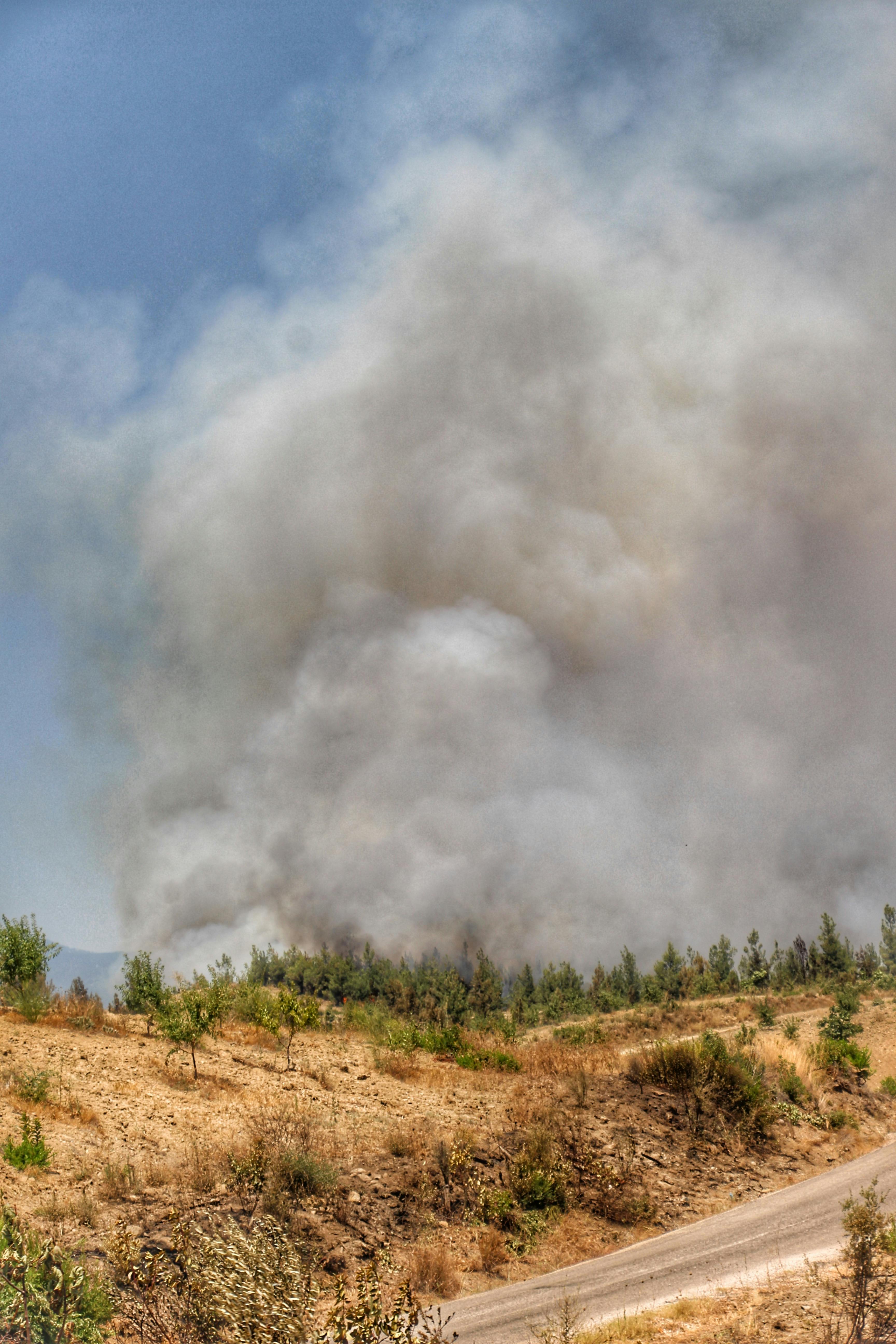 Wildfire Risk Maps and Western Summer Fire Outlook