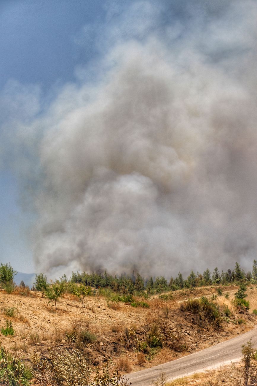 VEGETATION FIRE