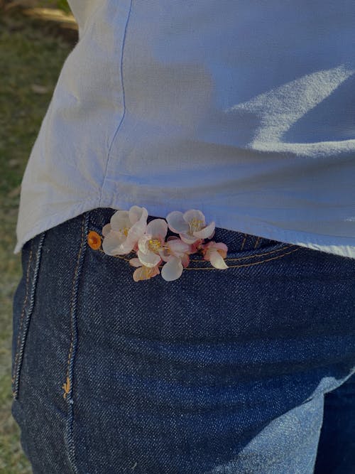 Free Flowers in Blue Denim Jeans Pocket Stock Photo