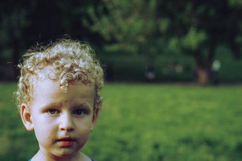 Curly Haired Little Boy on Green Grass Field