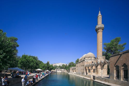 Immagine gratuita di alberi, architettura ottomana, colonne