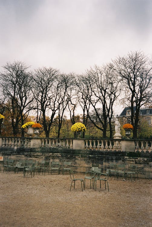 Ilmainen kuvapankkikuva tunnisteilla kaupungin puisto, metalliset tuolit, paljaat puut