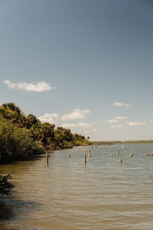Free Tranquil coastal scene featuring wooden poles, lush trees, and calm sea under a clear sky. Stock Photo