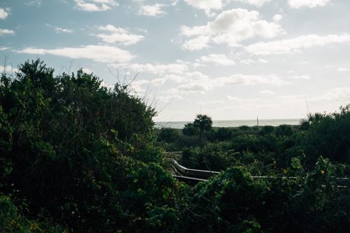 Free Serene coastal scene featuring lush greenery and a cloudy sky, ideal for nature photography enthusiasts. Stock Photo