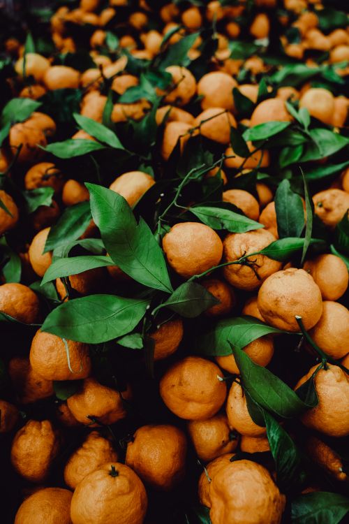 Free A vibrant display of ripe tangerines with lush green leaves for a fresh and natural look. Stock Photo