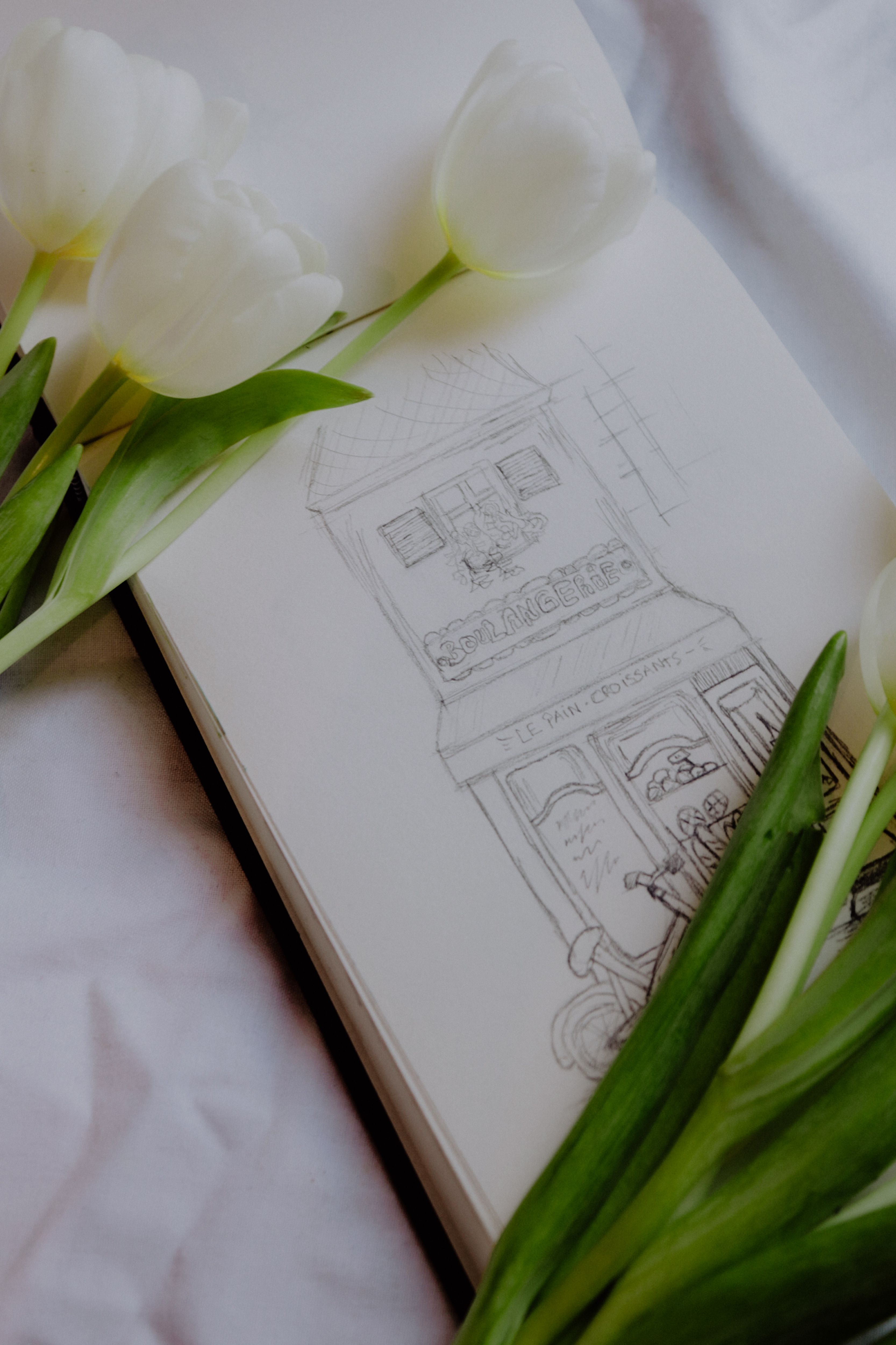 A detailed sketch of a Parisian building in a notebook, accompanied by delicate white tulips.