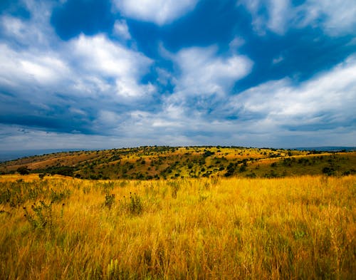 Tanzania Sky