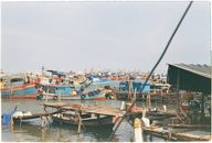 White and Blue Boats on Dock
