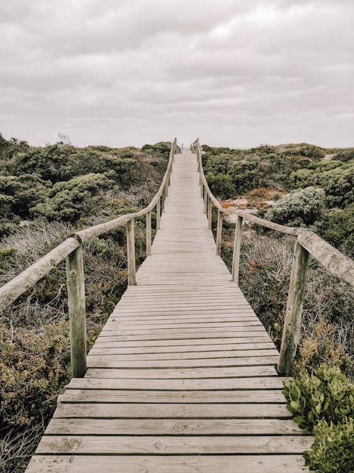 Brown Wooden Bridge Over Green Grass Field