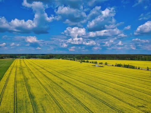 Gratis stockfoto met akkerland, blauwe lucht, drone fotografie