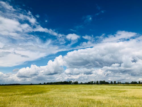 Green Grass Field Under White Clouds and Blue Sky