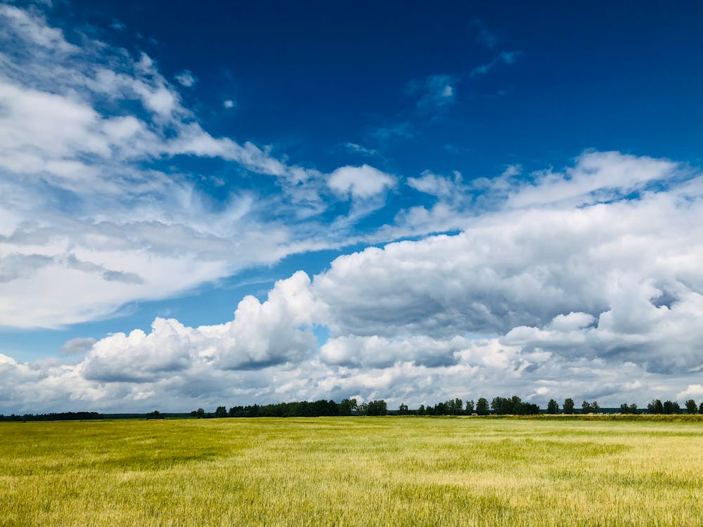 Foto stok gratis awan, bidang, fotografi alam