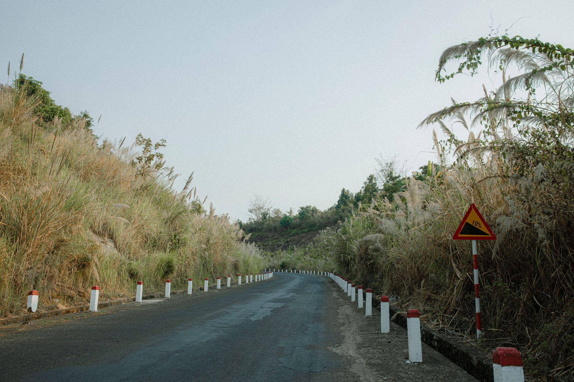 Scenic rural road lined with bollards and grasses in BΓ¬nh PhΖ°α»c, Vietnam under a clear sky.