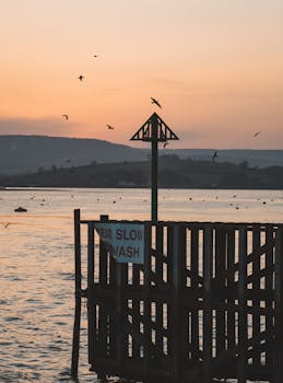 Peaceful lakeside view with birds during sunset, perfect for calm, nature-themed projects.