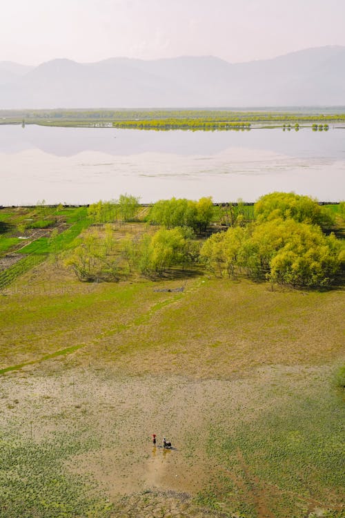 Green Grass Field Near Body of Water