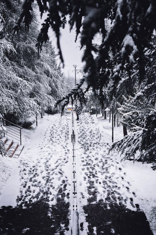 Kostenloses Stock Foto zu fußgängerwege, fußweg, kalt