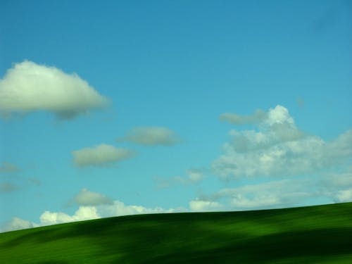 Green Grass Field Under Blue Sky and White Clouds