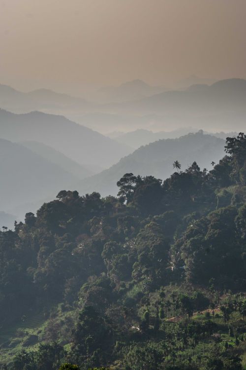 Free Tranquil view of misty mountain ranges in Ella, Sri Lanka, showcasing lush green forests. Stock Photo