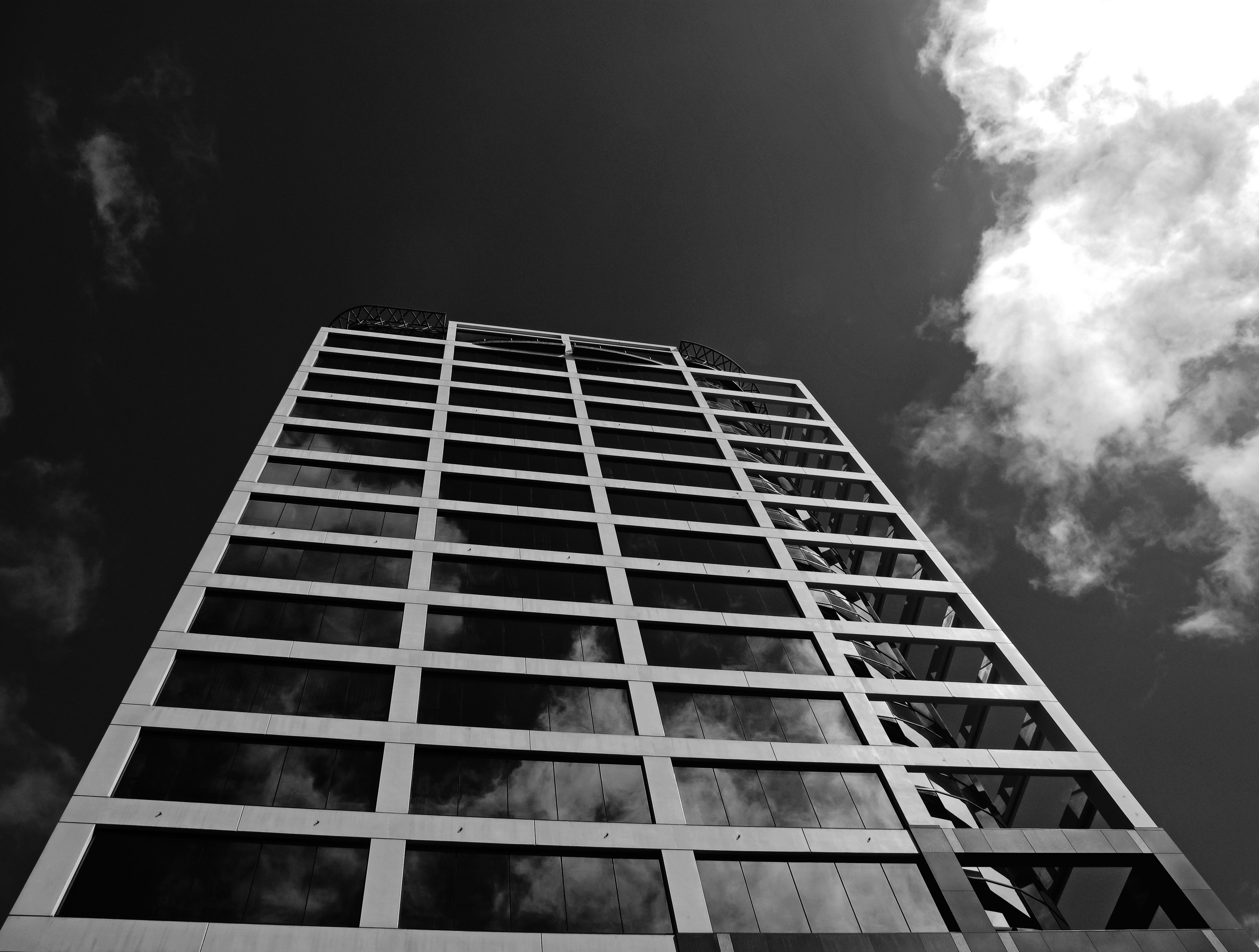 Photo by Francesco Ungaro on Pexels