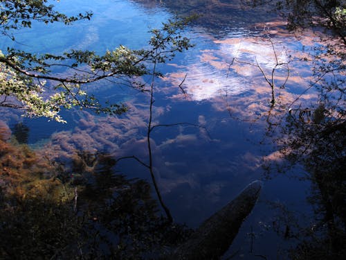 бесплатная Бесплатное стоковое фото с вода, деревья, на открытом воздухе Стоковое фото