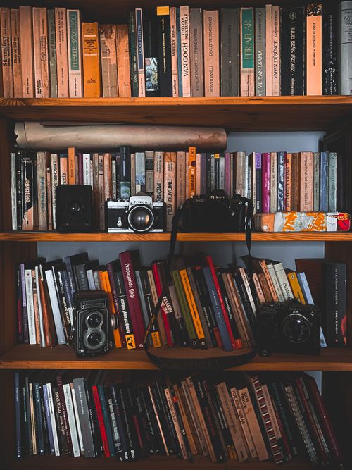 Free Books and vintage cameras neatly arranged on wooden shelves, creating a cozy home interior scene. Stock Photo