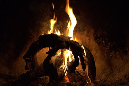 Close Up Photo of Burning wood