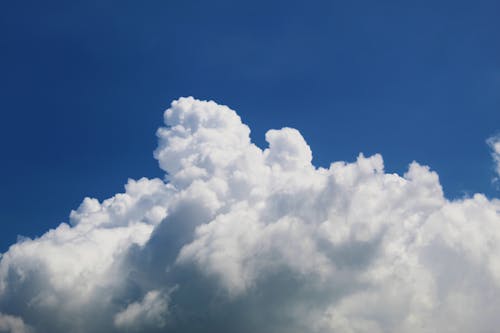 grátis Foto profissional grátis de céu, cúmulos, nuvens Foto profissional