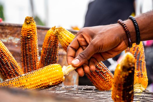 Hand picking grilled corn on street vendor's grill, showcasing traditional food experience.