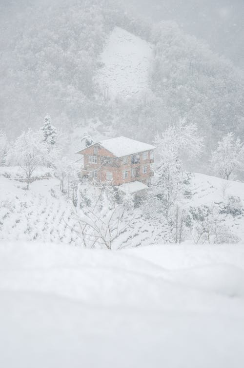 Darmowe zdjęcie z galerii z dom, duże opady śniegu, mroźny