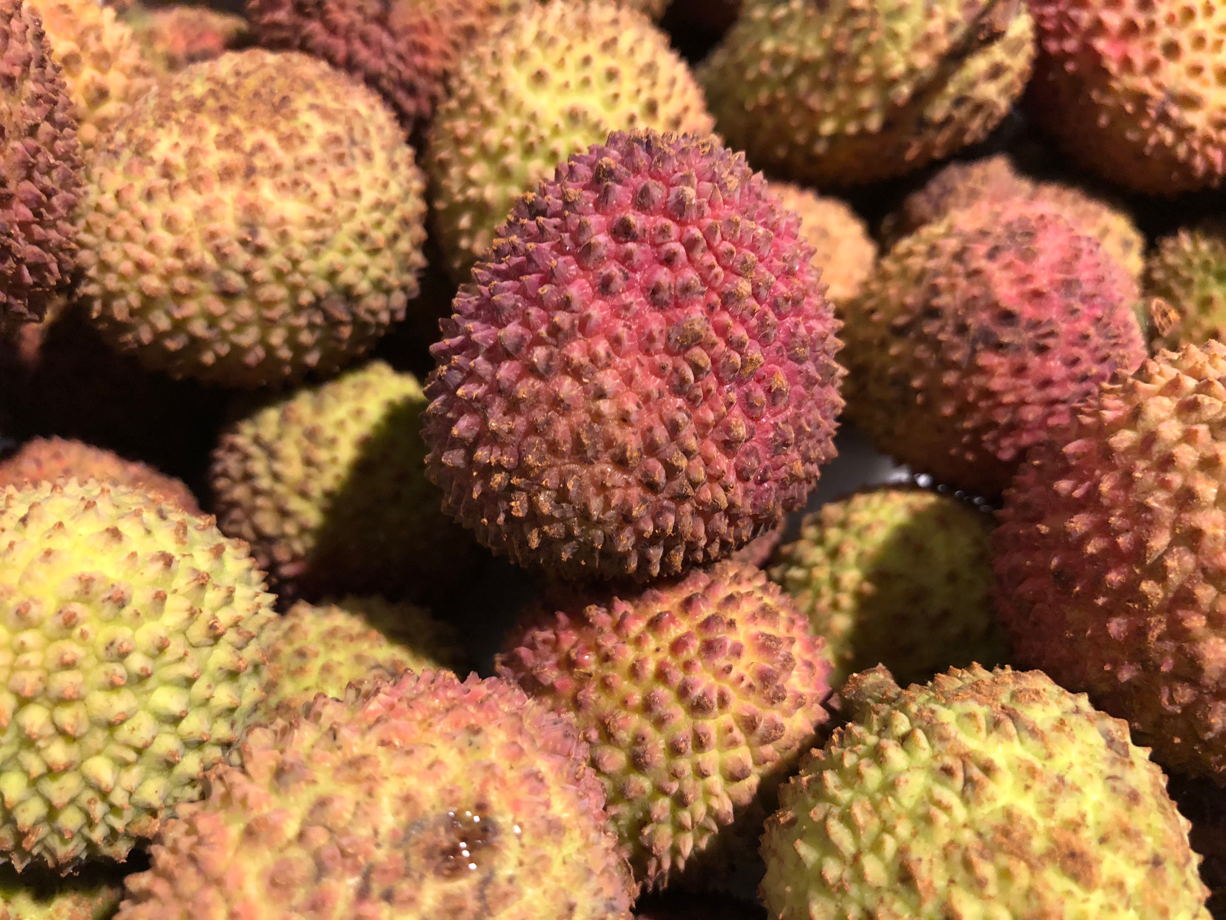 Free stock photo of china, fruit, lychee