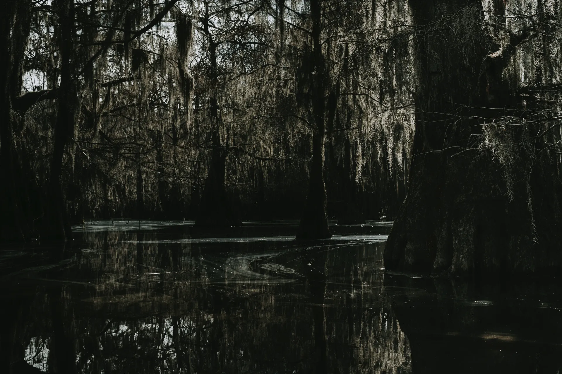 Atchafalaya Basin Swamp Tours and Boardwalk Hikes: A Walker's Guide